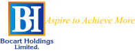 Bocart Holdings